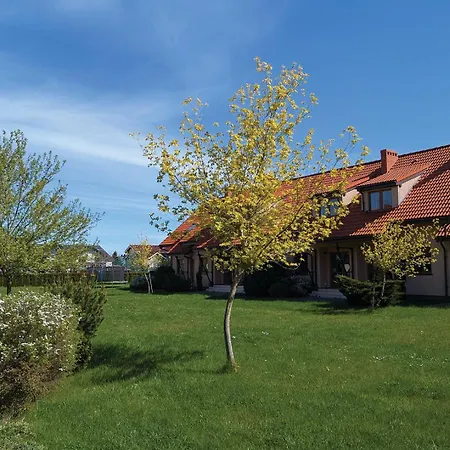 Nautilus-rowy Daire *